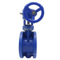 Bundor DN50 class150 worm gear double flanged type butterfly valve ductile iron air water butterfly valve